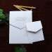 Pocket Wedding Invitation Elegant Invitation Foiling Card UV Printing 